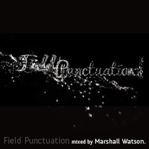 Field Punctuation Mixed By Marshall Watson
