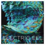 Cyanwave.Electric Eel